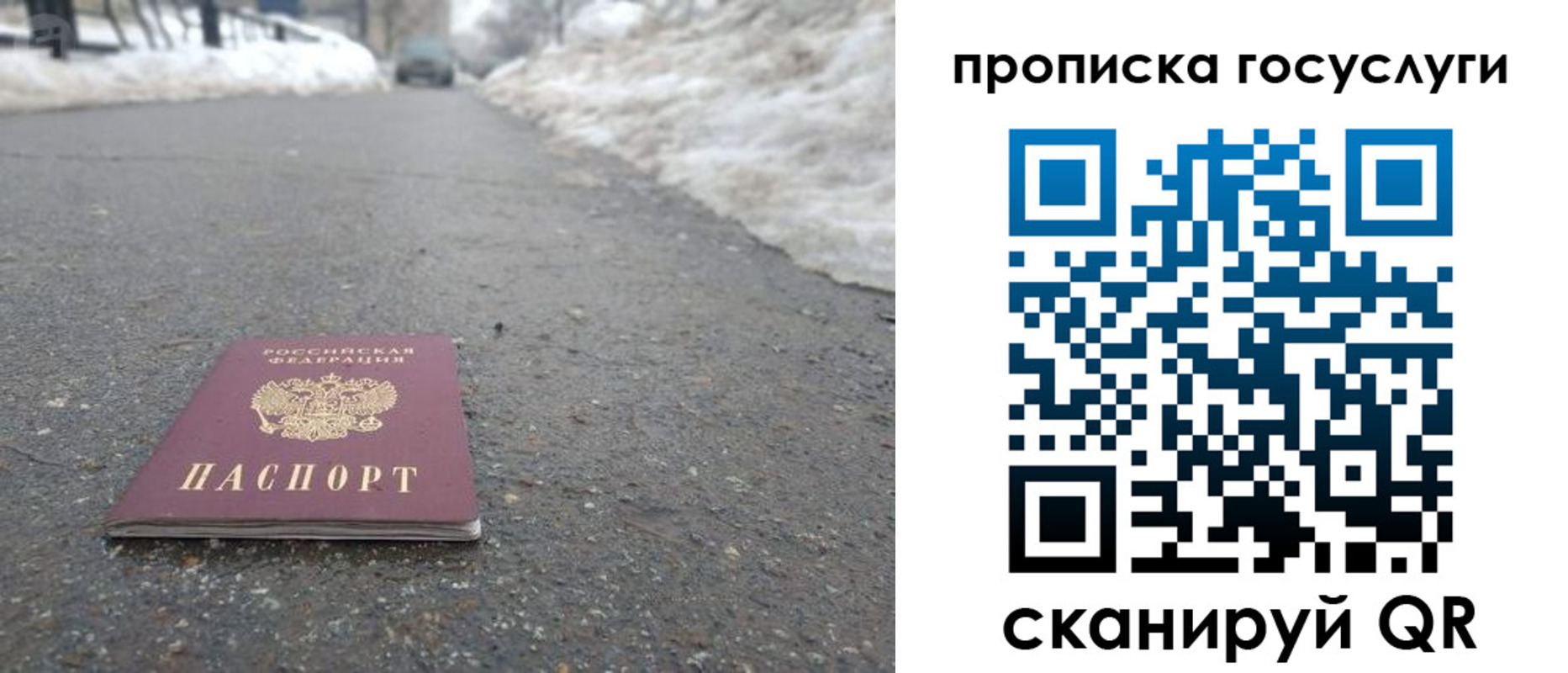 прописка поиск в Зеленодольске